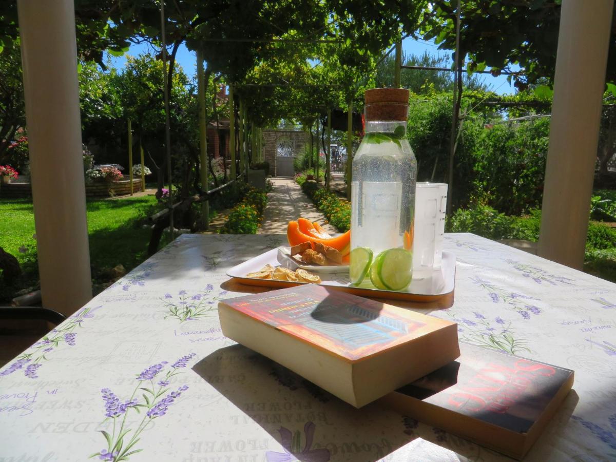 Beach Apartments Roza - The Garden Apartment Biograd Na Moru Eksteriør billede